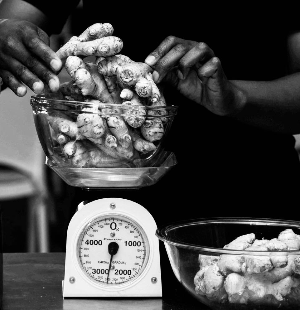 Person weighing ginger roots on a scale 